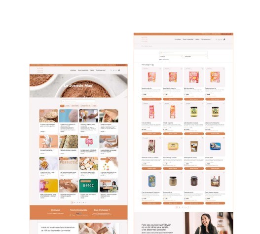 Dépannage WooCommerce à Paris