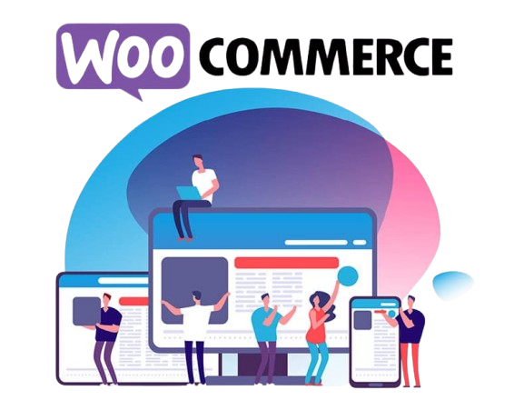 Dépannage WooCommerce à Paris